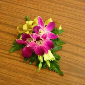 泰國(guó)蘭胸花